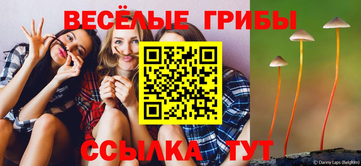 Псилоцибиновые грибы мухоморы Луховицы
